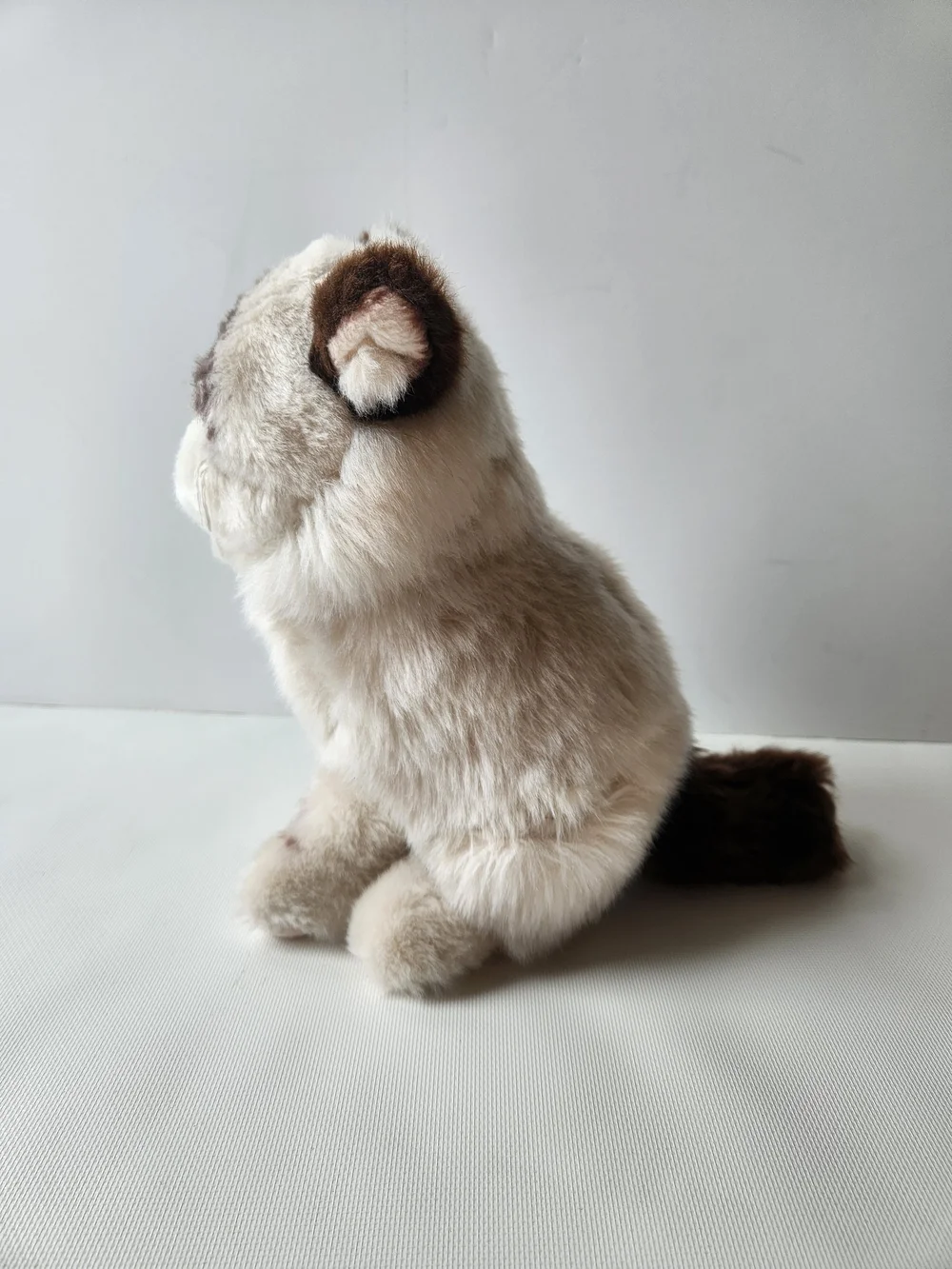 Gund Grumpy Cat Plush Stuffed Animal Meme Internet Collectible 9" Famous Kitten - Picture 2 of 6